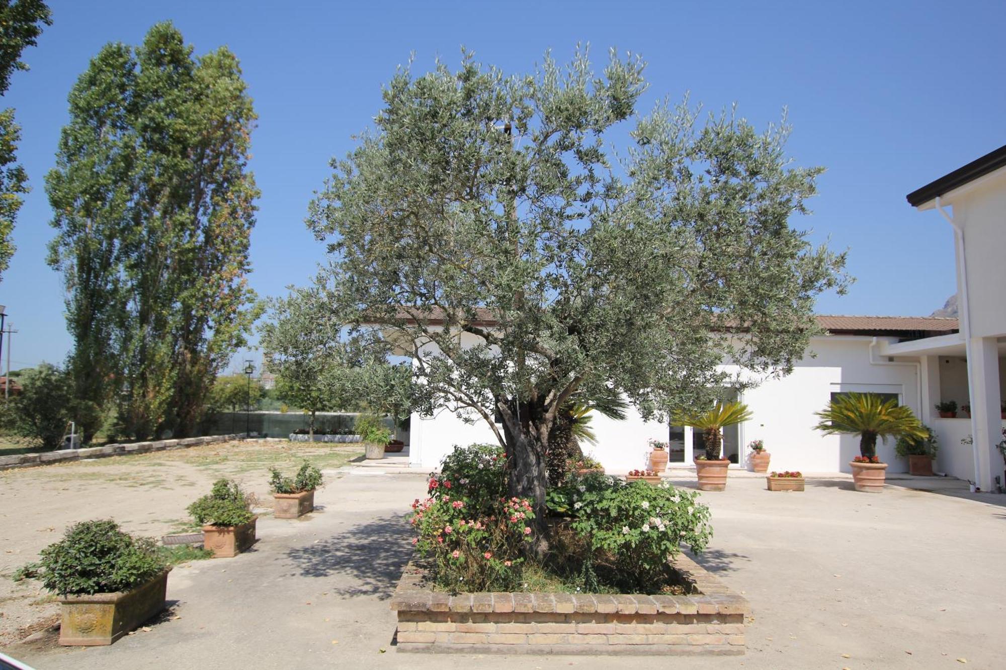 Villa Capodacqua Castrocielo Luaran gambar