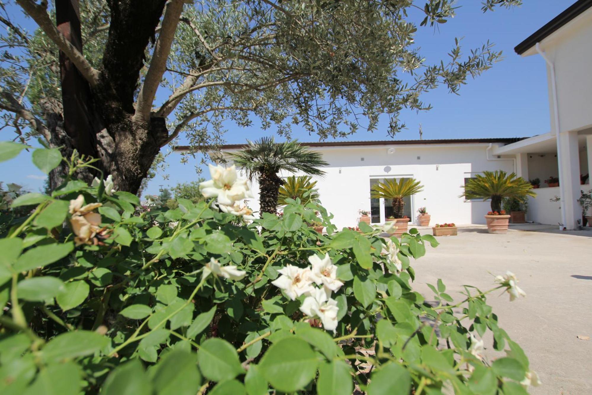 Villa Capodacqua Castrocielo Luaran gambar